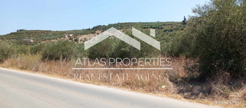 Οικόπεδο 4.002 τ.μ. προς πώληση, Καλύβες Αρμενών