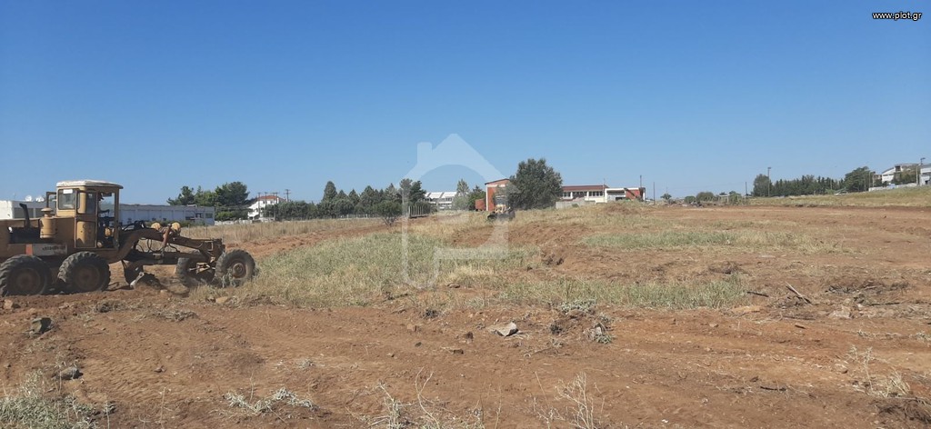 Αγροτεμάχια 9.480 τ.μ. προς πώληση, Νέα Ραιδεστός
