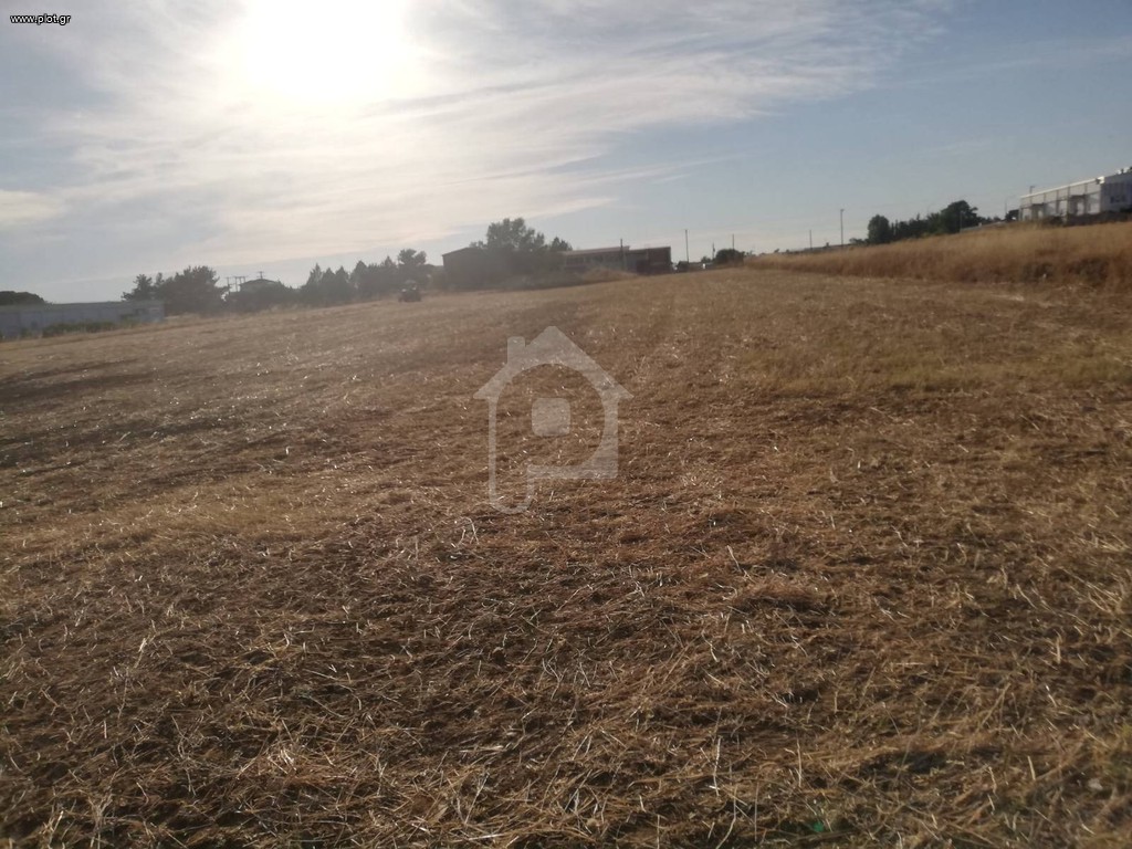 Αγροτεμάχια 9.480 τ.μ. προς πώληση, Νέα Ραιδεστός