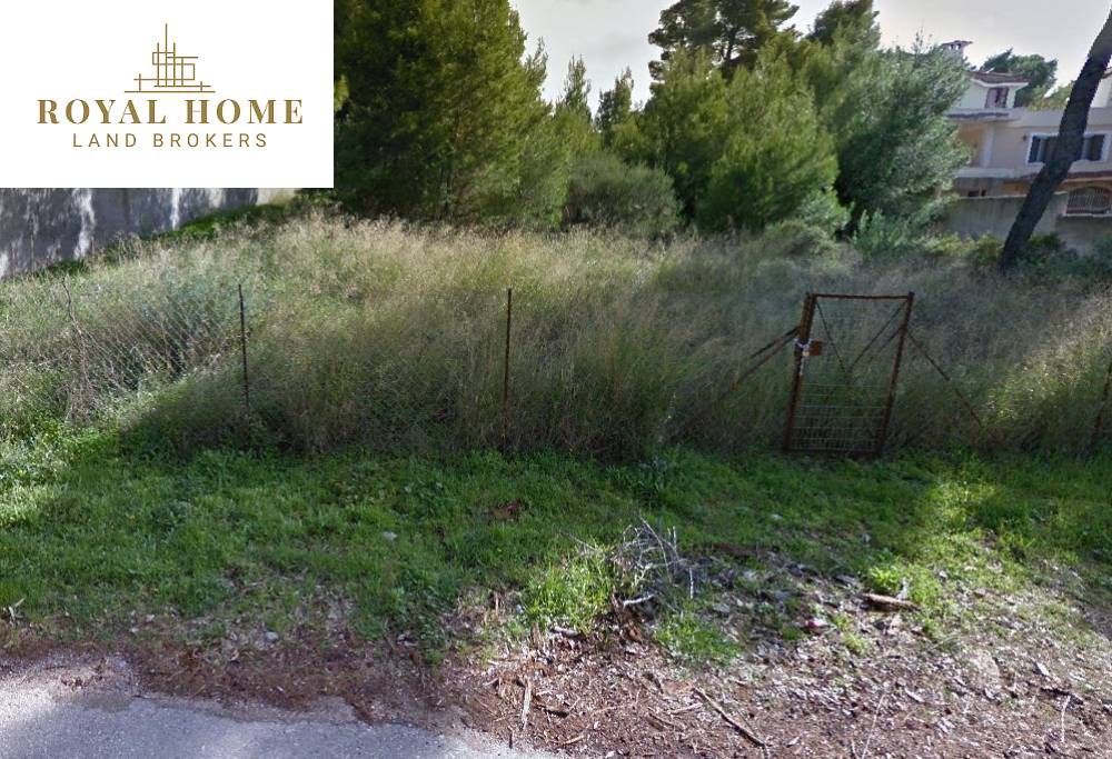 Οικόπεδο 1.132 τ.μ. πρός πώληση, Αθήνα - Ανατολικά Προάστια, Ανθούσα