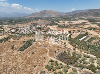 Οικόπεδο 3.356 τ.μ. για πώληση, Αργολίδα, Μιδέα-thumb-14
