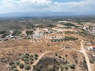 Οικόπεδο 3.356 τ.μ. για πώληση, Αργολίδα, Μιδέα-thumb-4