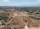 Οικόπεδο 3.356τ.μ. για πώληση-Μιδέα » Δενδρά