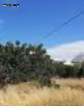 Οικόπεδο 570 τ.μ. για πώληση