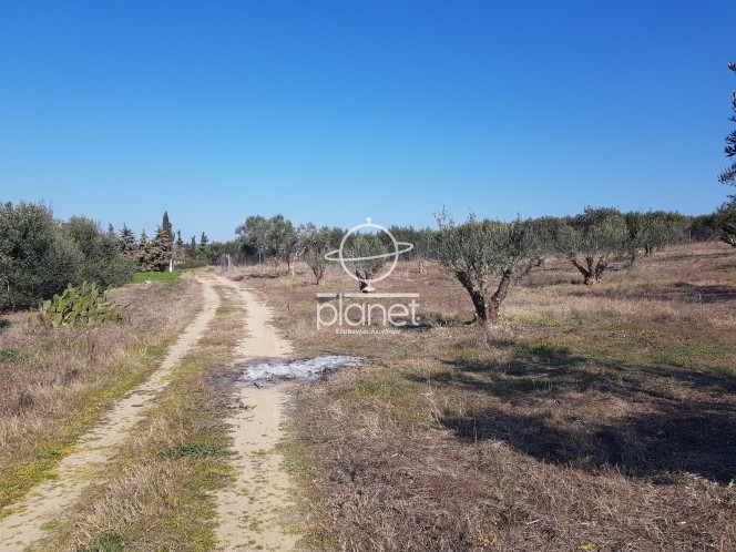 Αγροτεμάχια 2.500 τ.μ. πρός πώληση, Θεσσαλονίκη - Περιφ/Κοί Δήμοι, Επανομή