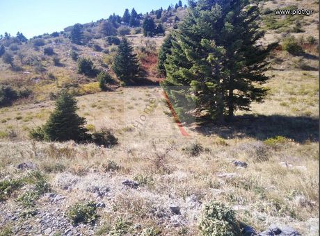 Parcel 2.016sqm for sale-Amarinthos » Seta