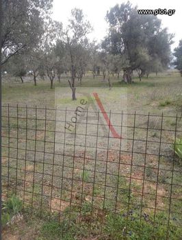 Parcel 1.286sqm for sale-Amarinthos » Gimno