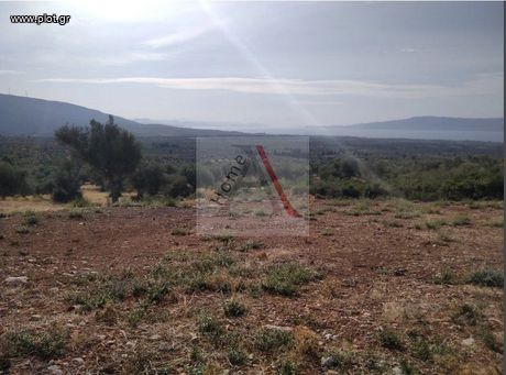 Parcel 5.004sqm for sale-Eretria » Magoila