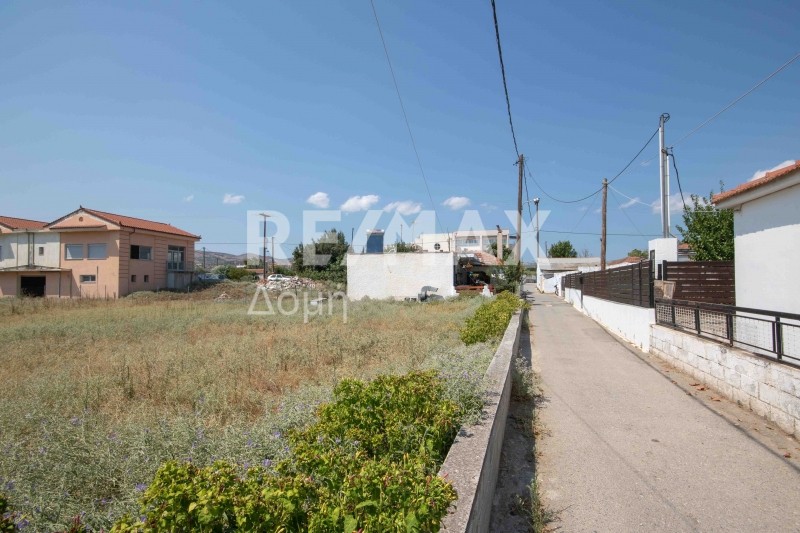 Οικόπεδο 891 τ.μ. πρός πώληση, Μαγνησία, Αισωνία