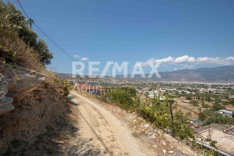 Οικόπεδο 2.300 τ.μ. πρός πώληση, Μαγνησία, Αισωνία