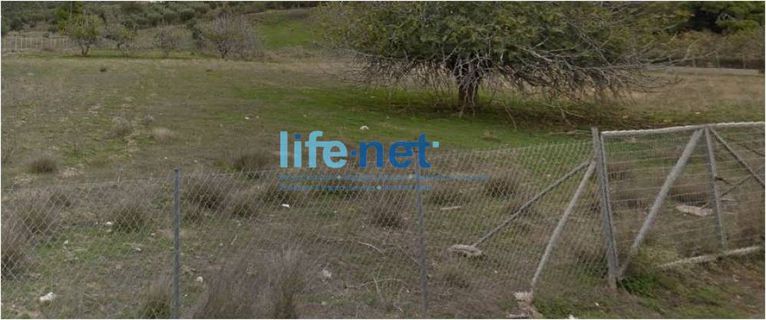 Land plot 13.000 sqm for sale, Rest Of Attica, Legrena