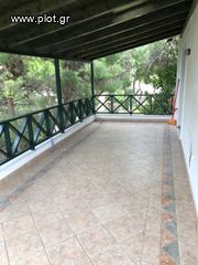 Μονοκατοικία 350 τ.μ. για ενοικίαση