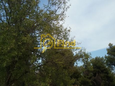 Οικόπεδο 1.578 τ.μ. για πώληση