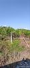 Parcel 3.000sqm for sale-Dovra » Fiteia