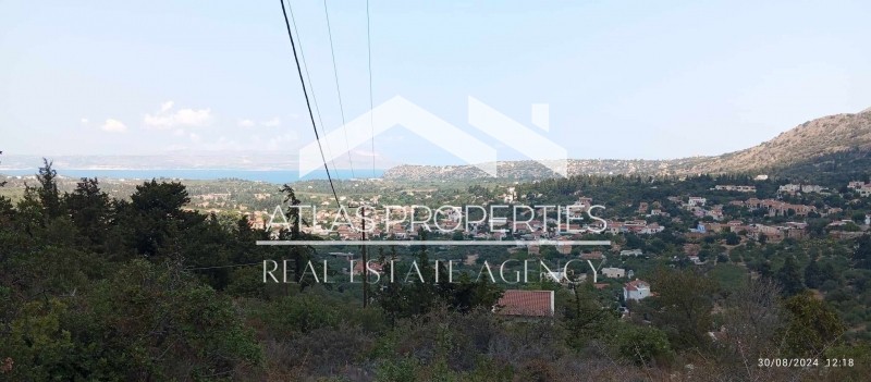 Οικόπεδο 2.190 τ.μ. προς πώληση, Γαβαλοχώρι
