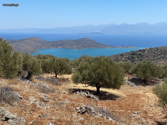 Land plot 5.500 sqm for sale, Lasithi Prefecture, Agios Nikolaos