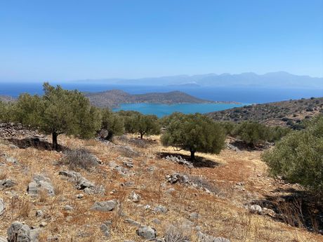 Land plot 4.650sqm for sale-Agios Nikolaos » Epano Pines