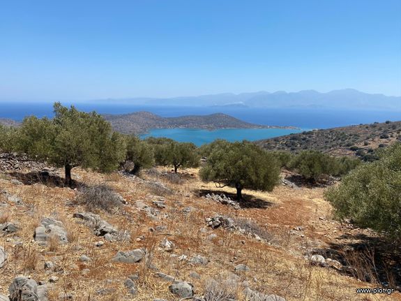 Land plot 5.500 sqm for sale, Lasithi Prefecture, Agios Nikolaos