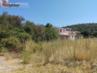 Οικόπεδο 725 τ.μ. για πώληση, Ν. Σάμου, Σάμος-thumb-1
