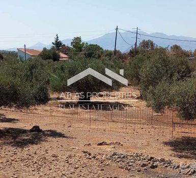 Land plot 3.200sqm for sale-Vamos » Drapanos