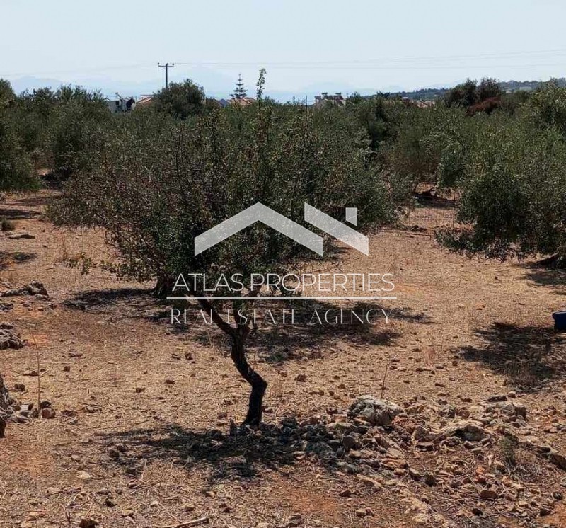 Οικόπεδο 3.200 τ.μ. προς πώληση, Δράπανος