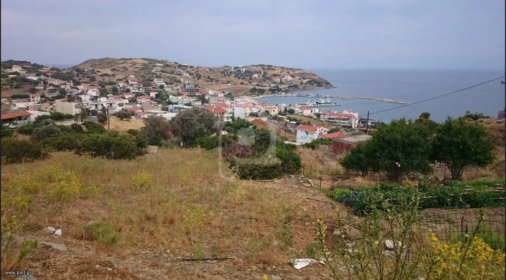 Οικόπεδο 4.500 τ.μ. προς πώληση, Άγιοι Απόστολοι Δύστου