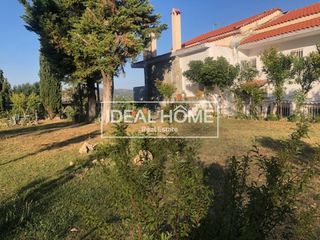 Βίλλα 400 τ.μ. για πώληση