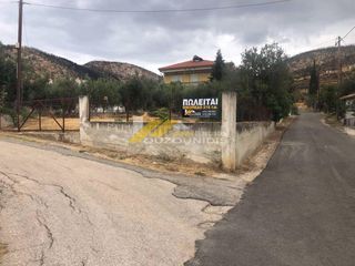 Οικόπεδο 216 τ.μ. για πώληση, Εβρος, Αλεξανδρούπολη-thumb-8