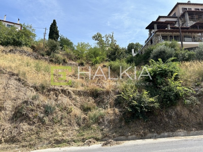 Οικόπεδο 1.103 τ.μ. πρός πώληση, Μαγνησία, Ιωλκός