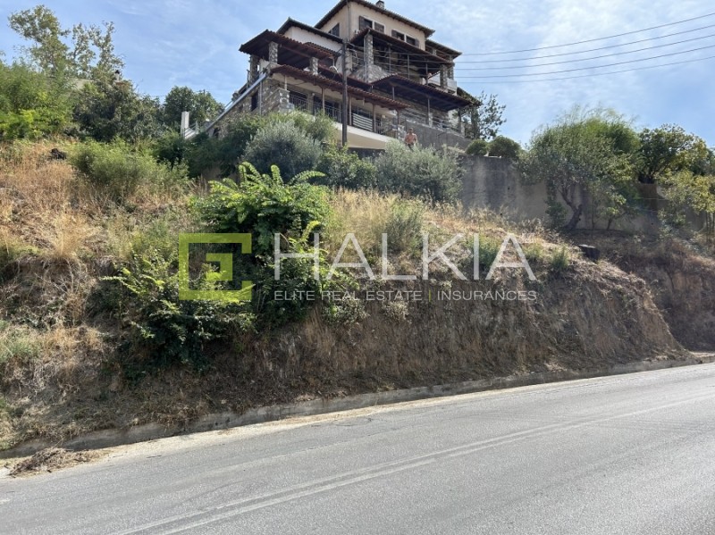 Οικόπεδο 1.103 τ.μ. πρός πώληση, Μαγνησία, Ιωλκός