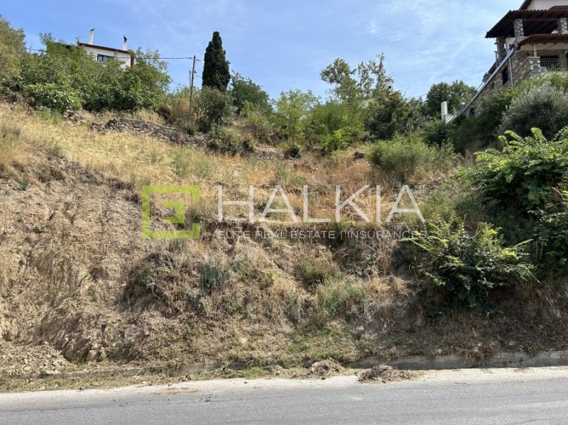 Οικόπεδο 1.103 τ.μ. πρός πώληση, Μαγνησία, Ιωλκός