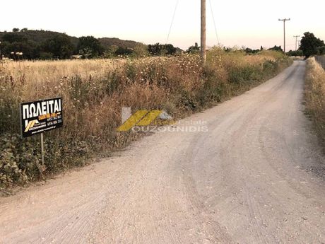 Αγροτεμάχια 4.000τ.μ. για πώληση-Αλεξανδρούπολη » Κέντρο