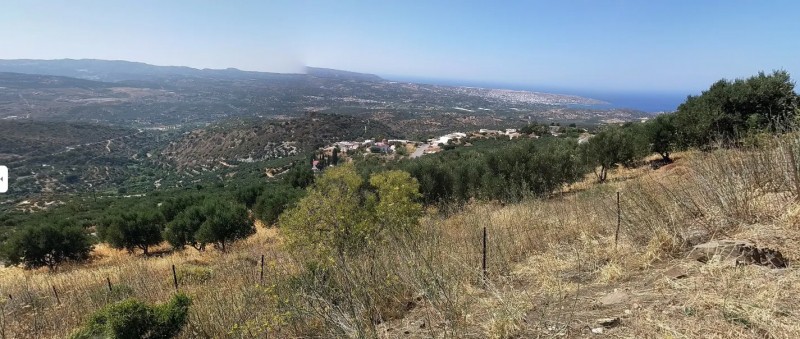 Αγροτεμάχια 2.225 τ.μ. πρός πώληση, Ν. Λασιθίου, Σητεία