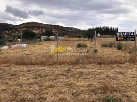 Land plot 1.084sqm for sale-Alexandroupoli » Avantas