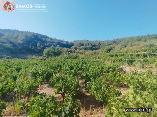 Parcel 2.443 sqm for sale