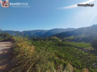 Αγροτεμάχια 2.443 τ.μ. για πώληση, Ν. Σάμου, Σάμος-thumb-1