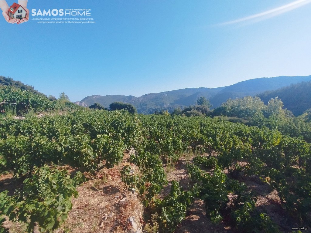 Parcel 2.443 sqm for sale, Samos