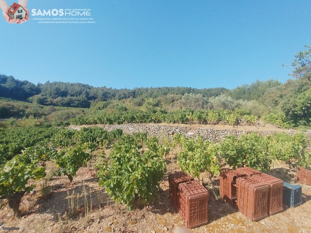 Parcel 2.443 sqm for sale, Samos