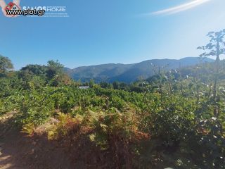 Αγροτεμάχια 2.443 τ.μ. για πώληση, Ν. Σάμου, Σάμος-thumb-6