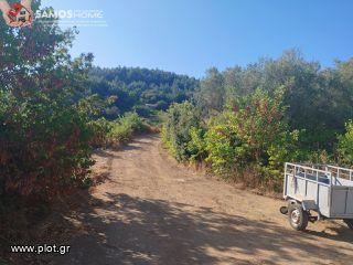 Αγροτεμάχια 2.443 τ.μ. για πώληση, Ν. Σάμου, Σάμος-thumb-9
