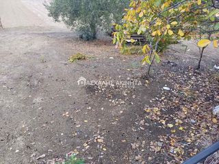 Οικόπεδο 3.000 τ.μ. για ενοικίαση, Ν. Ηρακλείου, Τέμενος-thumb-1