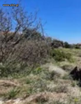 Land plot 10.500sqm for sale-Santorini » Thira