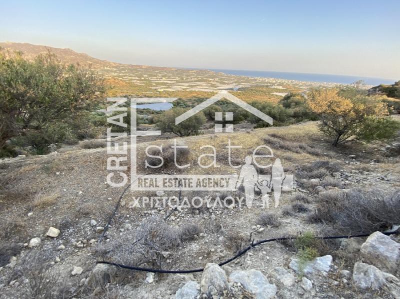 Αγροτεμάχια 17.000 τ.μ. προς πώληση, Αγιασμένος