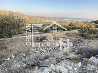 Αγροτεμάχια 17.000 τ.μ. για πώληση