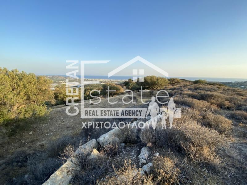 Αγροτεμάχια 17.000 τ.μ. προς πώληση, Αγιασμένος