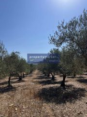 Αγροτεμάχια 27.000 τ.μ. για πώληση, Ν. Ρεθύμνου, Γεροπόταμος-thumb-4