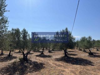 Αγροτεμάχια 27.000 τ.μ. για πώληση, Ν. Ρεθύμνου, Γεροπόταμος-thumb-2