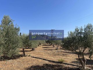 Αγροτεμάχια 27.000 τ.μ. για πώληση