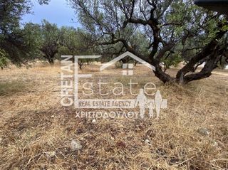Οικόπεδο 2.500 τ.μ. για πώληση, Ν. Λασιθίου, Ιεράπετρα-thumb-7