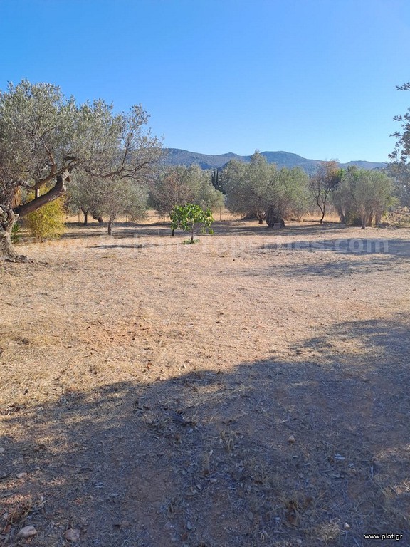 Οικόπεδο 835 τ.μ. πρός πώληση, Νησιά Αργοσαρωνικού, Αίγινα